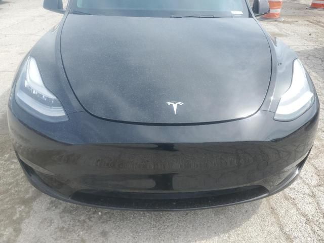 2020 Tesla Model Y