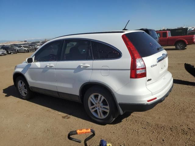 2010 Honda CR-V EXL