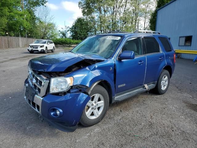 2008 Ford Escape HEV