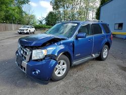 Ford salvage cars for sale: 2008 Ford Escape HEV