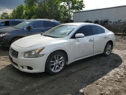 Salvage cars for sale at Baltimore, MD auction: 2011 Nissan Maxima S
