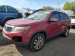 Salvage cars for sale from Copart East Granby, CT: 2011 KIA Sorento EX