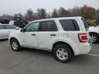 2009 Ford Escape Hybrid