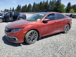 Salvage cars for sale from Copart Graham, WA: 2021 Honda Civic EX