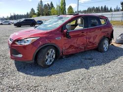 Salvage cars for sale from Copart Graham, WA: 2014 Ford Escape Titanium