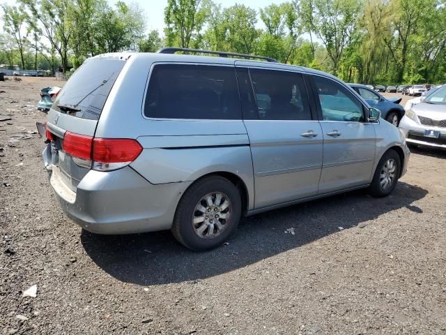 2010 Honda Odyssey EXL