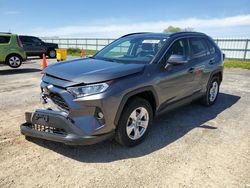 Salvage cars for sale from Copart Mcfarland, WI: 2019 Toyota Rav4 XLE