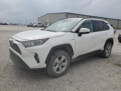 Salvage cars for sale at Haslet, TX auction: 2019 Toyota Rav4 XLE