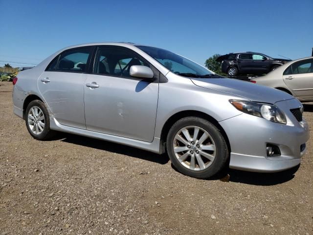 2010 Toyota Corolla Base