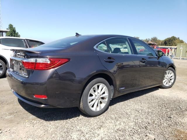 2013 Lexus ES 300H