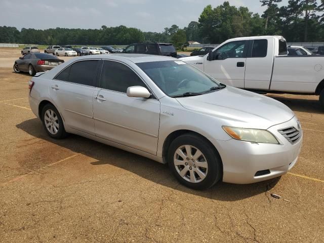 2009 Toyota Camry Hybrid