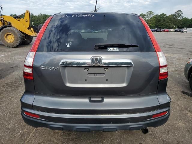 2010 Honda CR-V EX