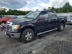 Salvage cars for sale at Grantville, PA auction: 2010 Ford F150 Supercrew