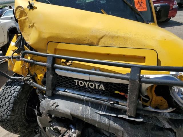 2007 Toyota FJ Cruiser