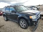 2010 Ford Escape Limited