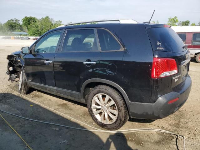 2011 KIA Sorento Base