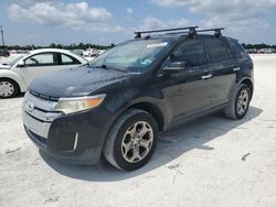 Salvage cars for sale at Arcadia, FL auction: 2011 Ford Edge SEL