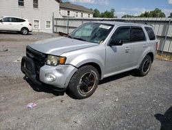 Ford salvage cars for sale: 2010 Ford Escape XLT