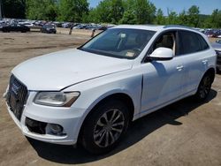 Audi q5 Premium Plus salvage cars for sale: 2013 Audi Q5 Premium Plus