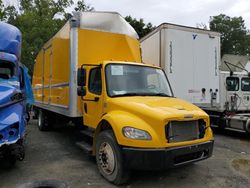 Salvage trucks for sale at Waldorf, MD auction: 2019 Freightliner M2 106 Medium Duty