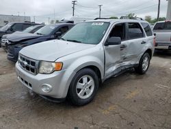 Salvage cars for sale from Copart Chicago Heights, IL: 2010 Ford Escape XLT