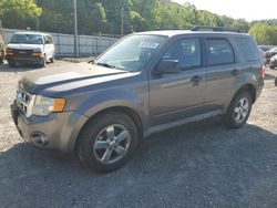 Ford Escape xlt salvage cars for sale: 2009 Ford Escape XLT