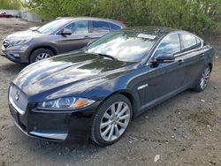 Salvage cars for sale at Arlington, WA auction: 2013 Jaguar XF