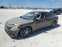 Salvage cars for sale at Arcadia, FL auction: 2014 Nissan Maxima S