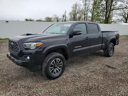 Salvage cars for sale from Copart Central Square, NY: 2021 Toyota Tacoma Double Cab