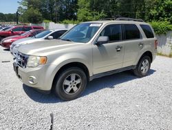 Salvage cars for sale from Copart Fairburn, GA: 2010 Ford Escape XLT
