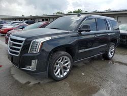 Salvage cars for sale from Copart Louisville, KY: 2016 Cadillac Escalade Premium