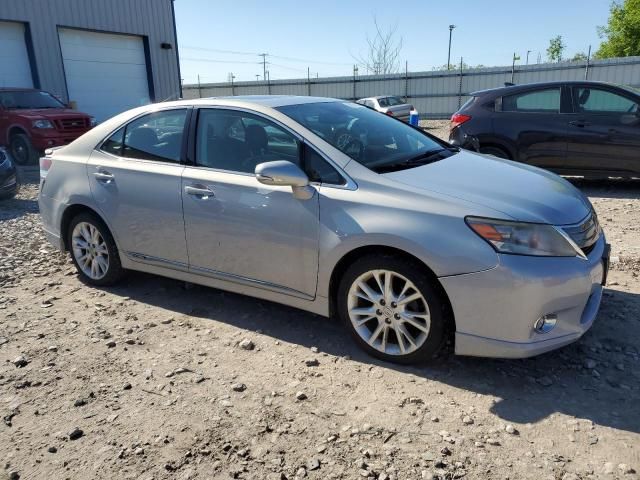 2010 Lexus HS 250H