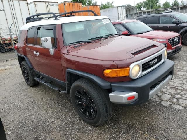 2010 Toyota FJ Cruiser