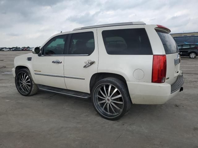 2010 Cadillac Escalade