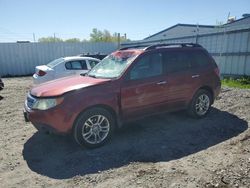 Salvage cars for sale from Copart Albany, NY: 2011 Subaru Forester Limited