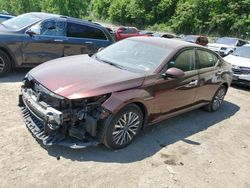 Nissan Altima sv Vehiculos salvage en venta: 2023 Nissan Altima SV