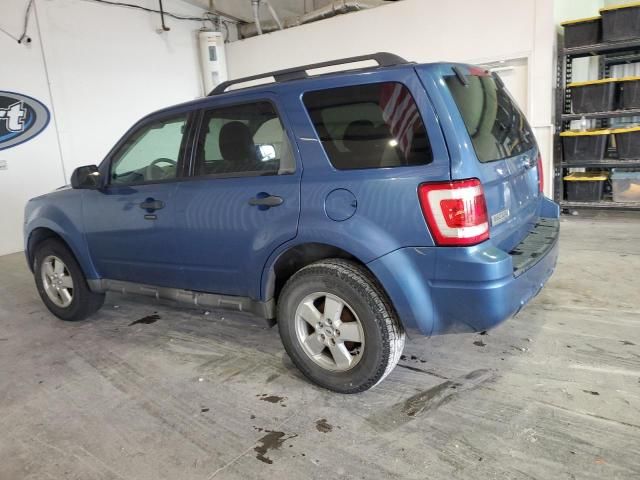 2009 Ford Escape XLT