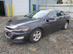 Salvage cars for sale at Portland, OR auction: 2023 Chevrolet Malibu LT