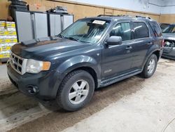 Salvage cars for sale at Kincheloe, MI auction: 2008 Ford Escape XLT