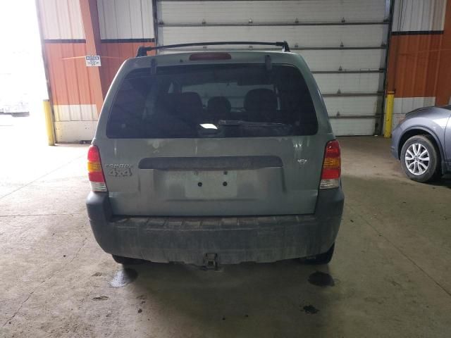 2006 Ford Escape XLT