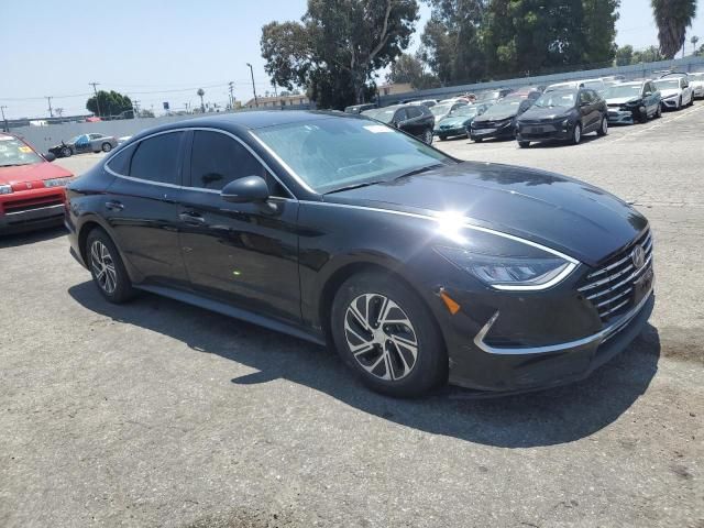 2021 Hyundai Sonata Hybrid