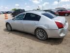 2004 Nissan Maxima SE