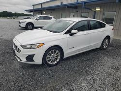 Salvage cars for sale from Copart Gastonia, NC: 2019 Ford Fusion SE