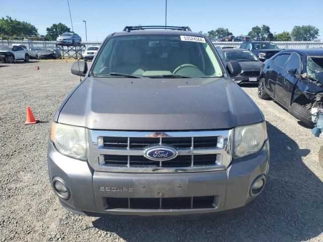 2010 Ford Escape XLT