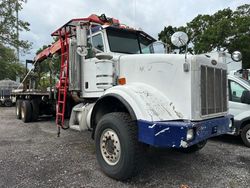 Salvage cars for sale from Copart Riverview, FL: 2007 Peterbilt 357