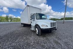 Freightliner salvage cars for sale: 2019 Freightliner M2 106 Medium Duty