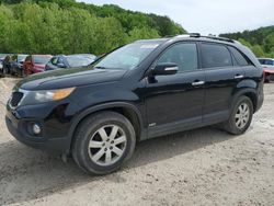 Cars With No Damage for sale at auction: 2011 KIA Sorento Base