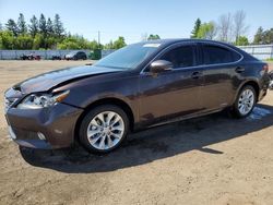 Salvage cars for sale from Copart Ontario Auction, ON: 2013 Lexus ES 300H