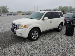 Salvage cars for sale at Barberton, OH auction: 2010 Ford Escape Limited
