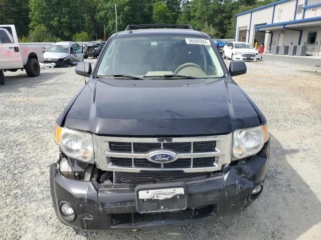 2010 Ford Escape XLT